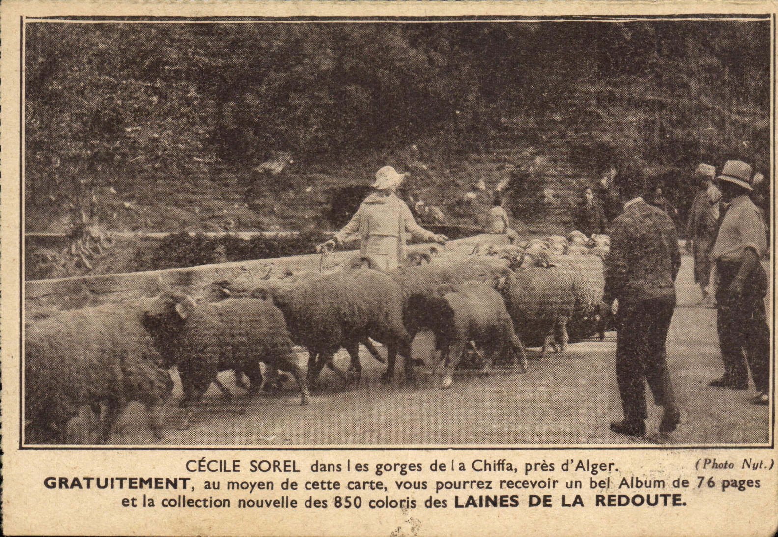 CPA Cecile Sorel dans les gorges de la Chiffa 