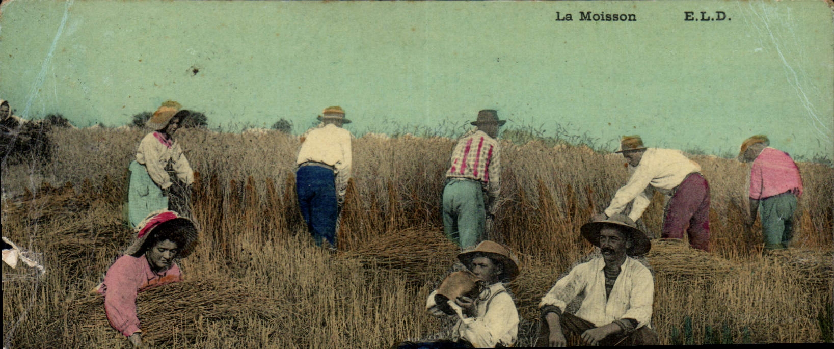 CPA La Moisson 