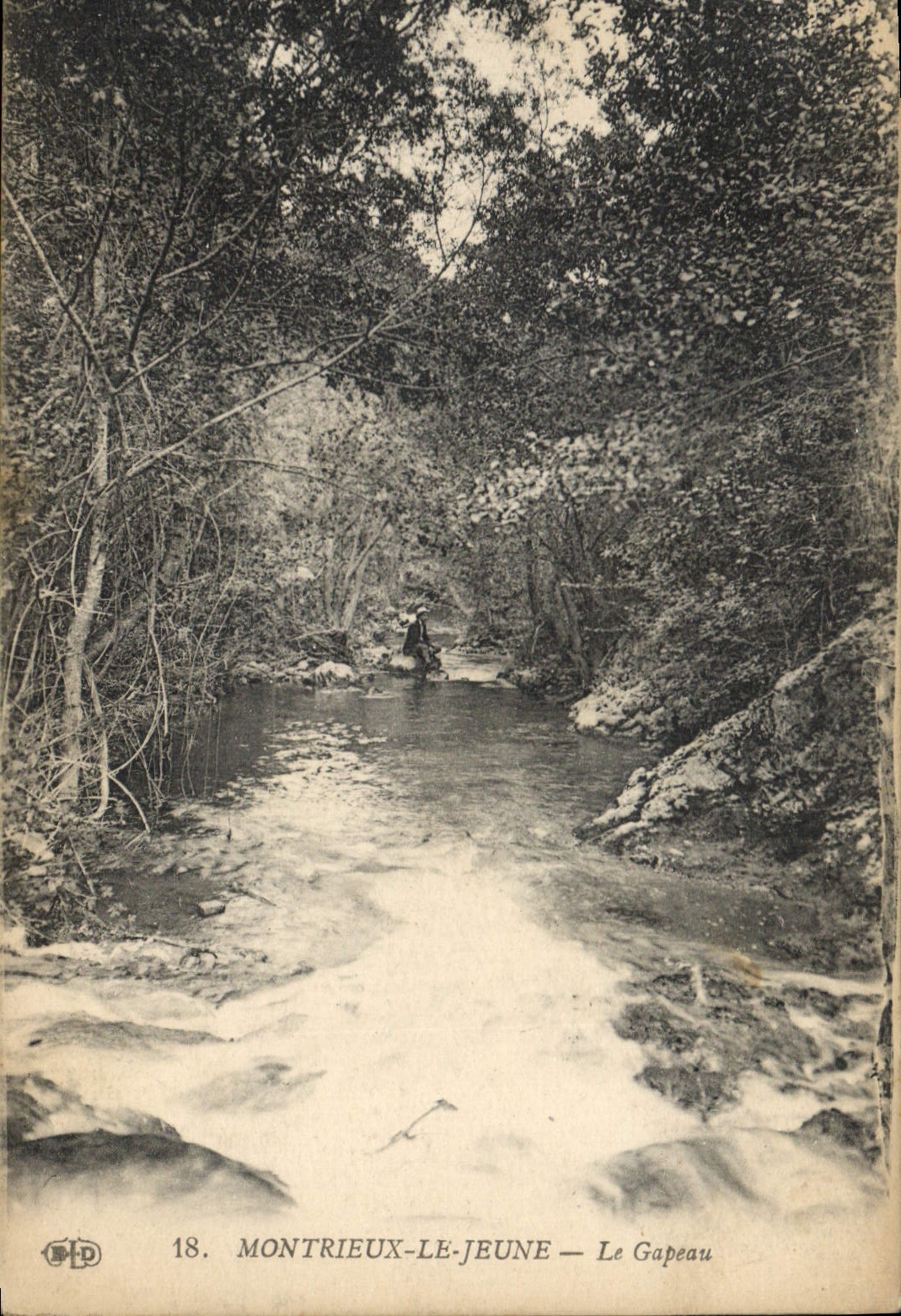 CPA Montrieux Le Jeune Le Gapeau 