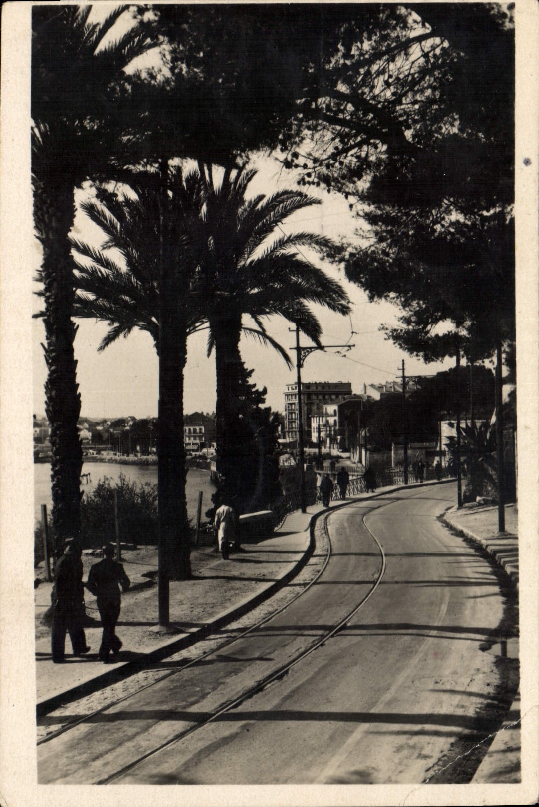 CPA Toulon Le Boulevard Frederic Mistral 