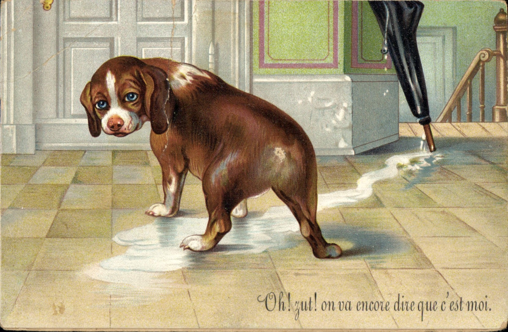 CPA Oh zut on va encore dire que c'est moi Chien