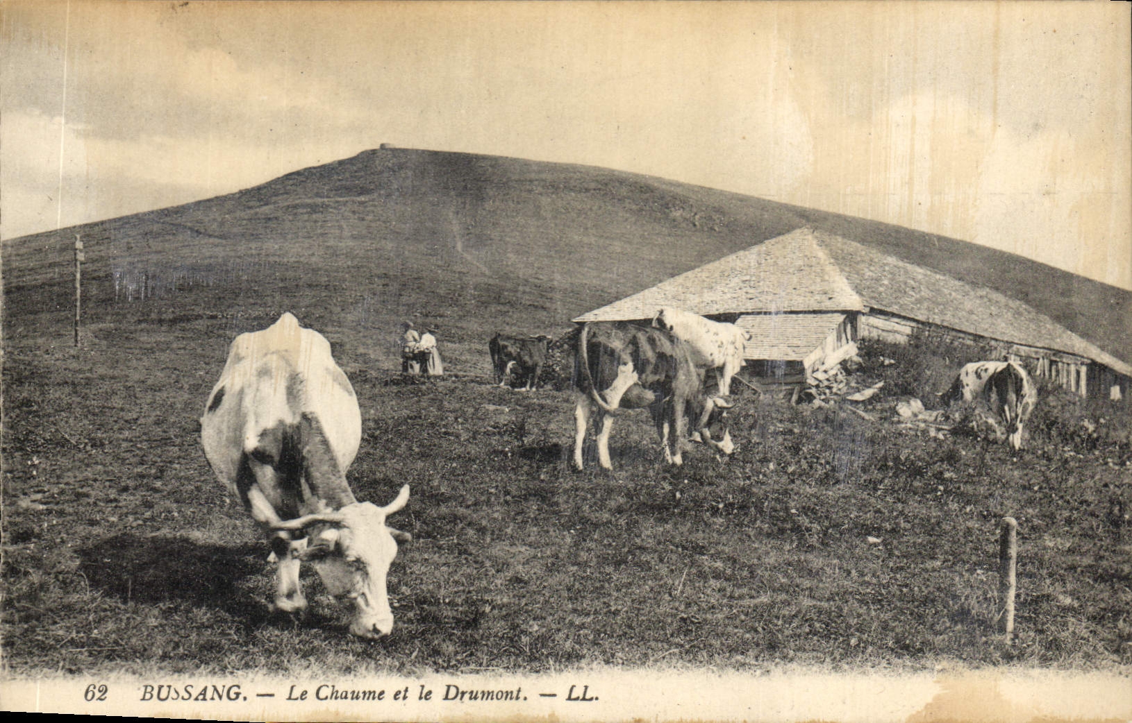 CPA Bussang le Chaume et le Drumont Vaches