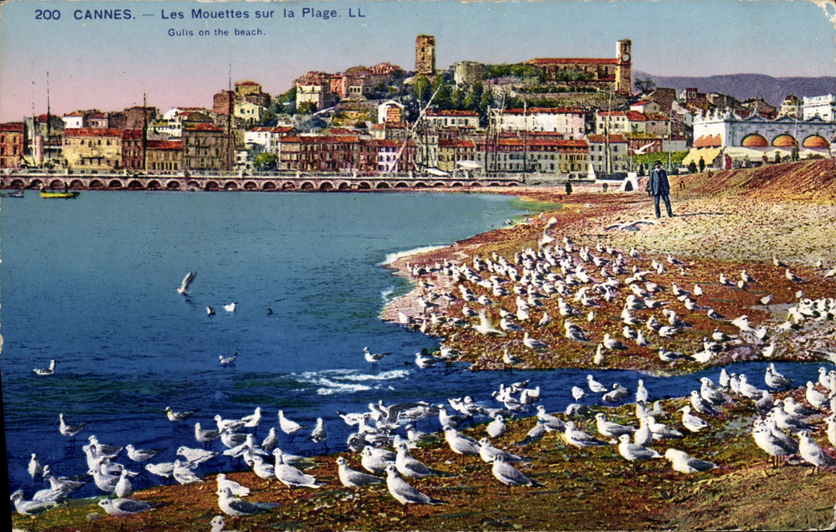 CPA Cannes Les Mouettes sur la Plage 