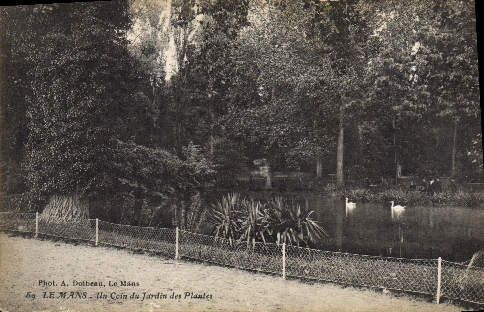 CPA Le Mans Un coin du Jardin des Plantes