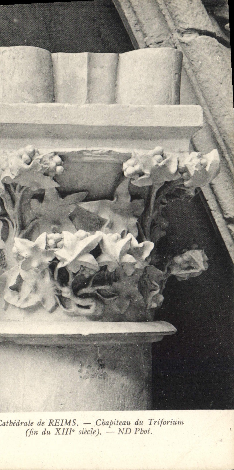 CPA Cathedrale de Reims Chapiteau du Triforium 