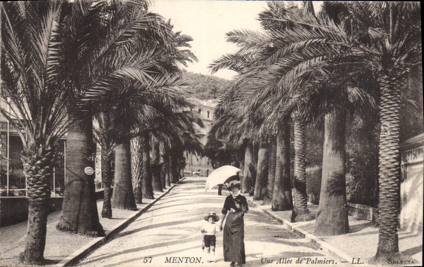 CPA Menton Une Allee de Palmiers 