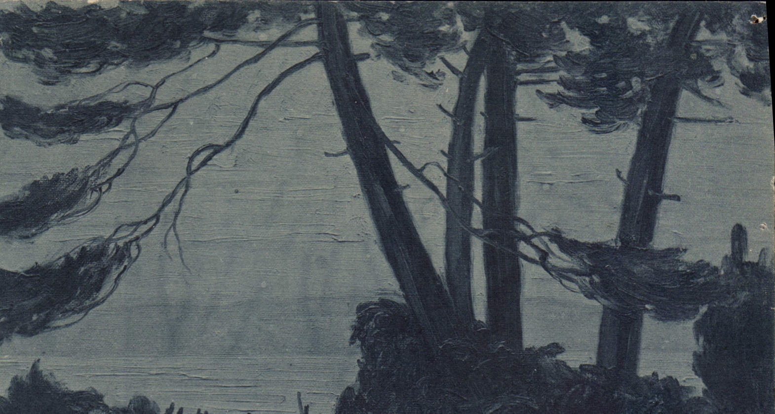 CPA La Lande Etang du Moisan 