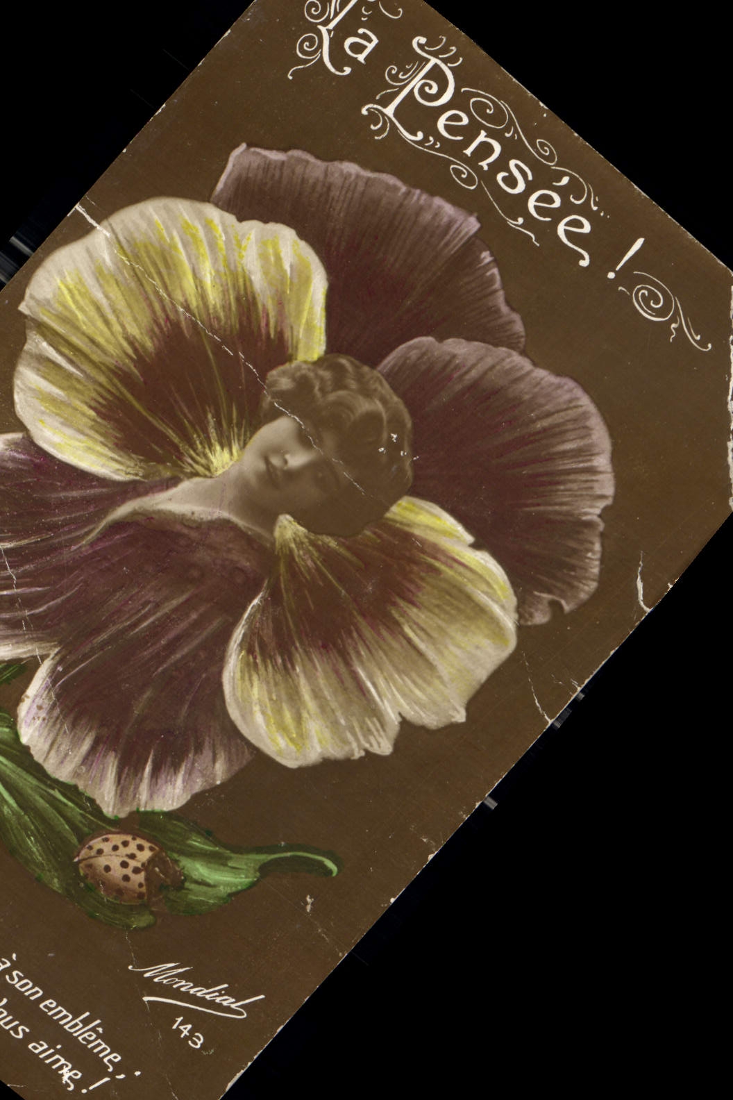 CPA La Pensee Fleurs