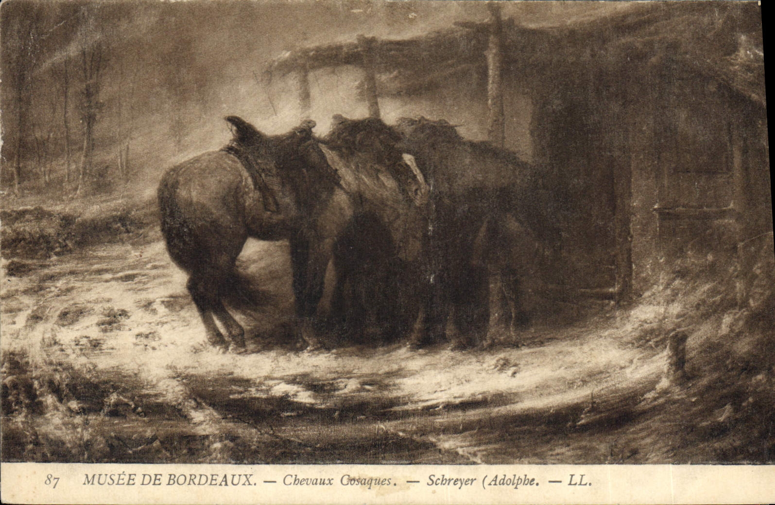 CPA Musee de Bordeaux Chevaux Gosaques 