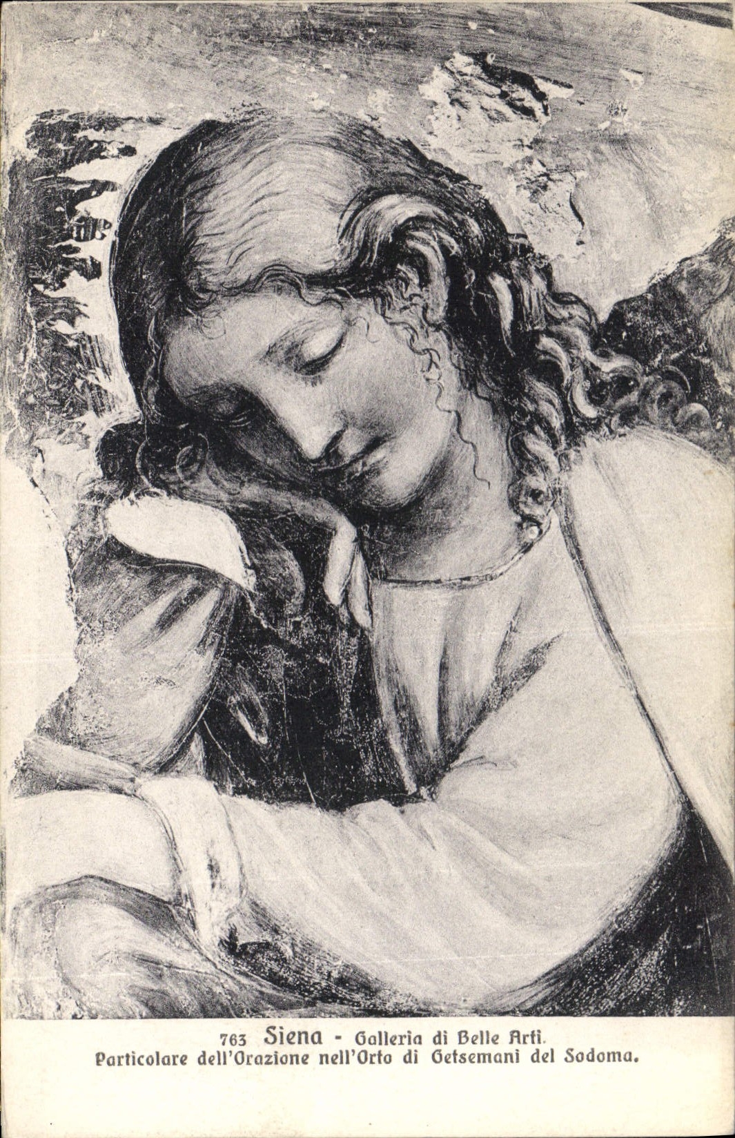 CPA Siena Galleris di Belle Arli 