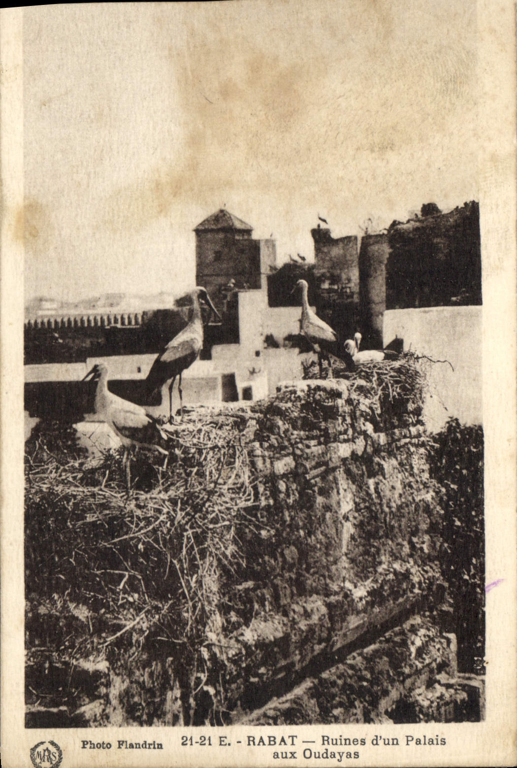 CPA Rabat Ruines d'un Palais aux Oudayas 
