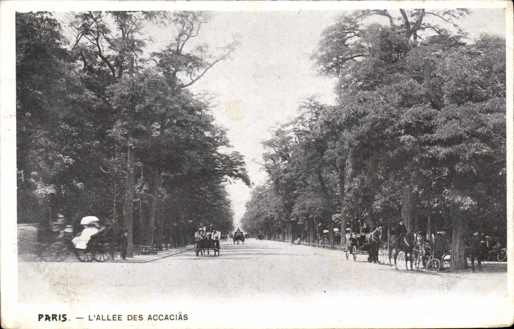 CPA Paris L'Allee des Accacias 