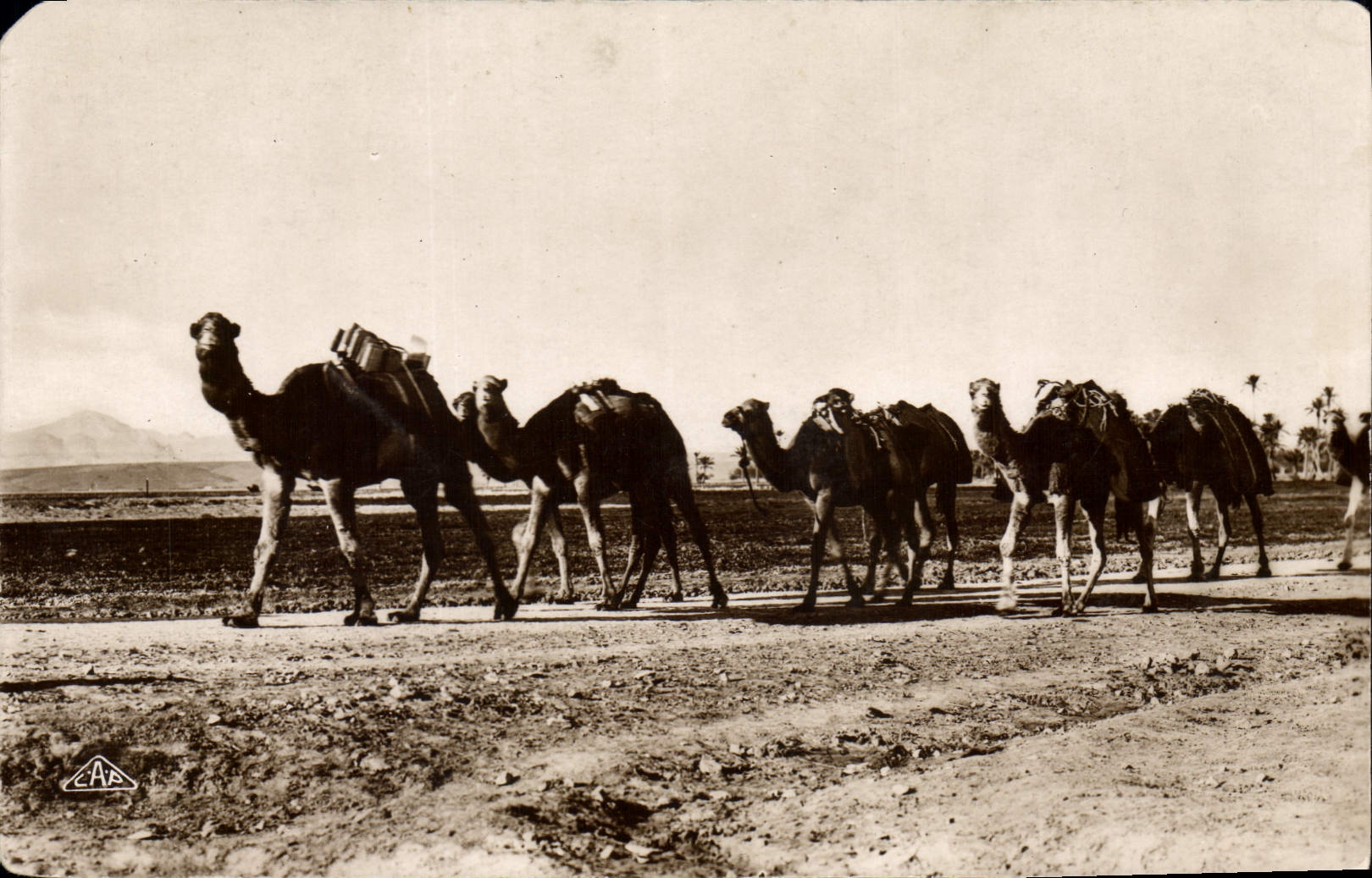 CPA Une Caravane 