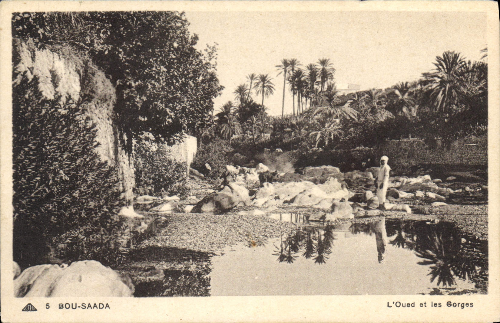CPA Bou Saada L'Oued et les Gorges 