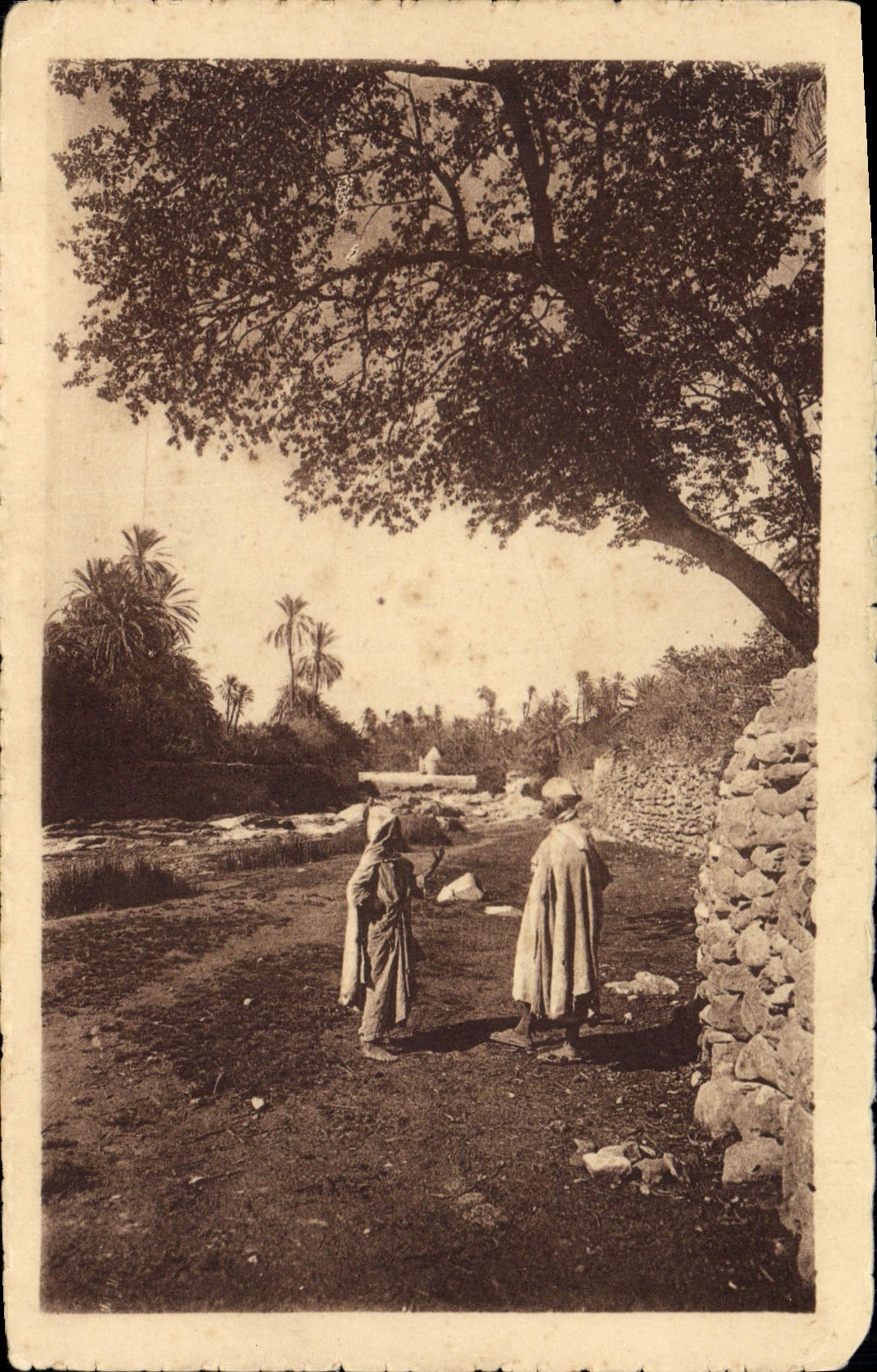 CPA Joli Paysage du Sud 