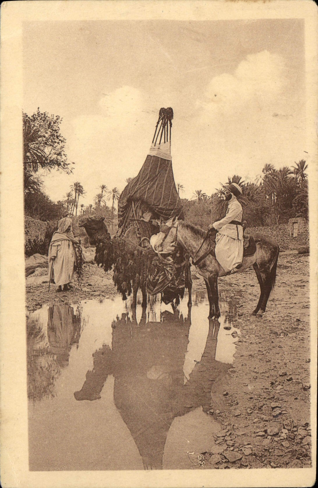 CPA Bou Saada Bassoud a la Riviere Chameau Cheval