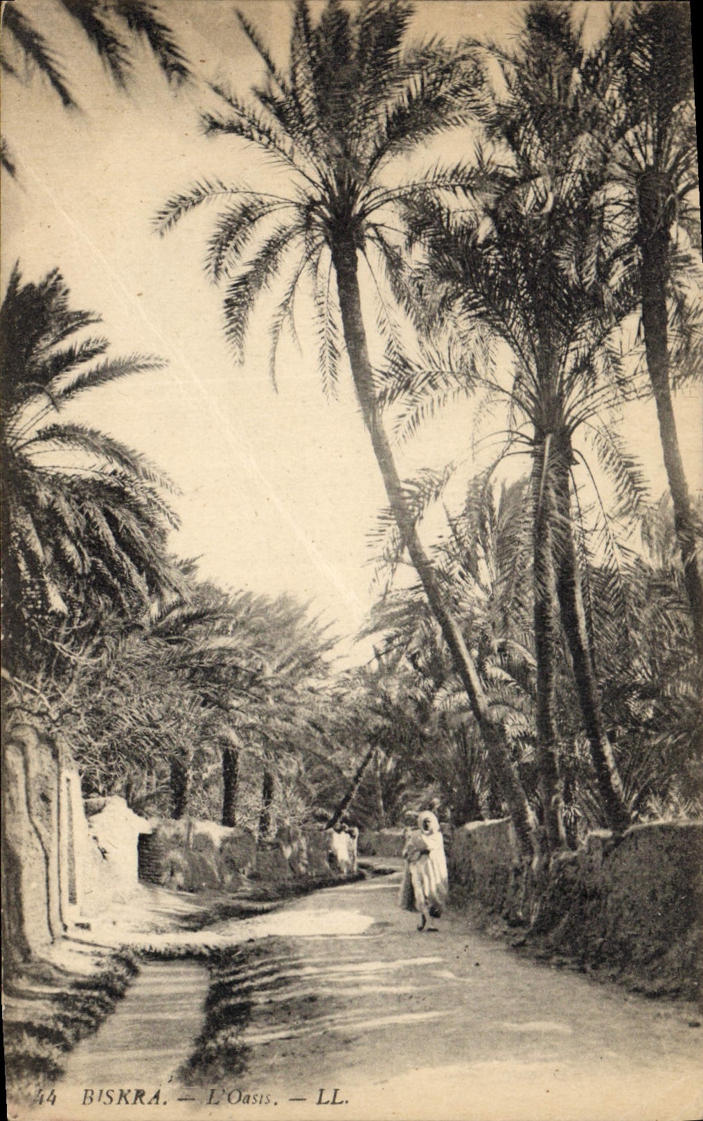 CPA Biskra L'Oasis 