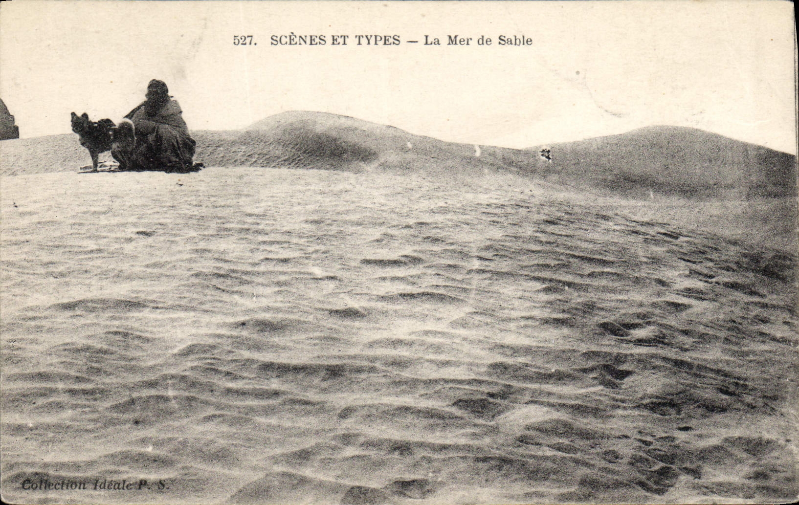 CPA Scenes et Types La Mer de Sable 