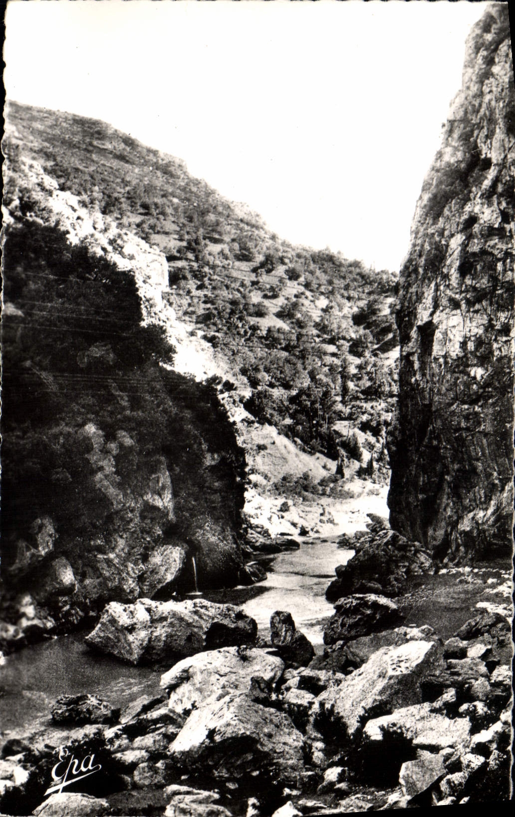CPA Gorges de Palestro Les Petites Cascades et l'Oued 