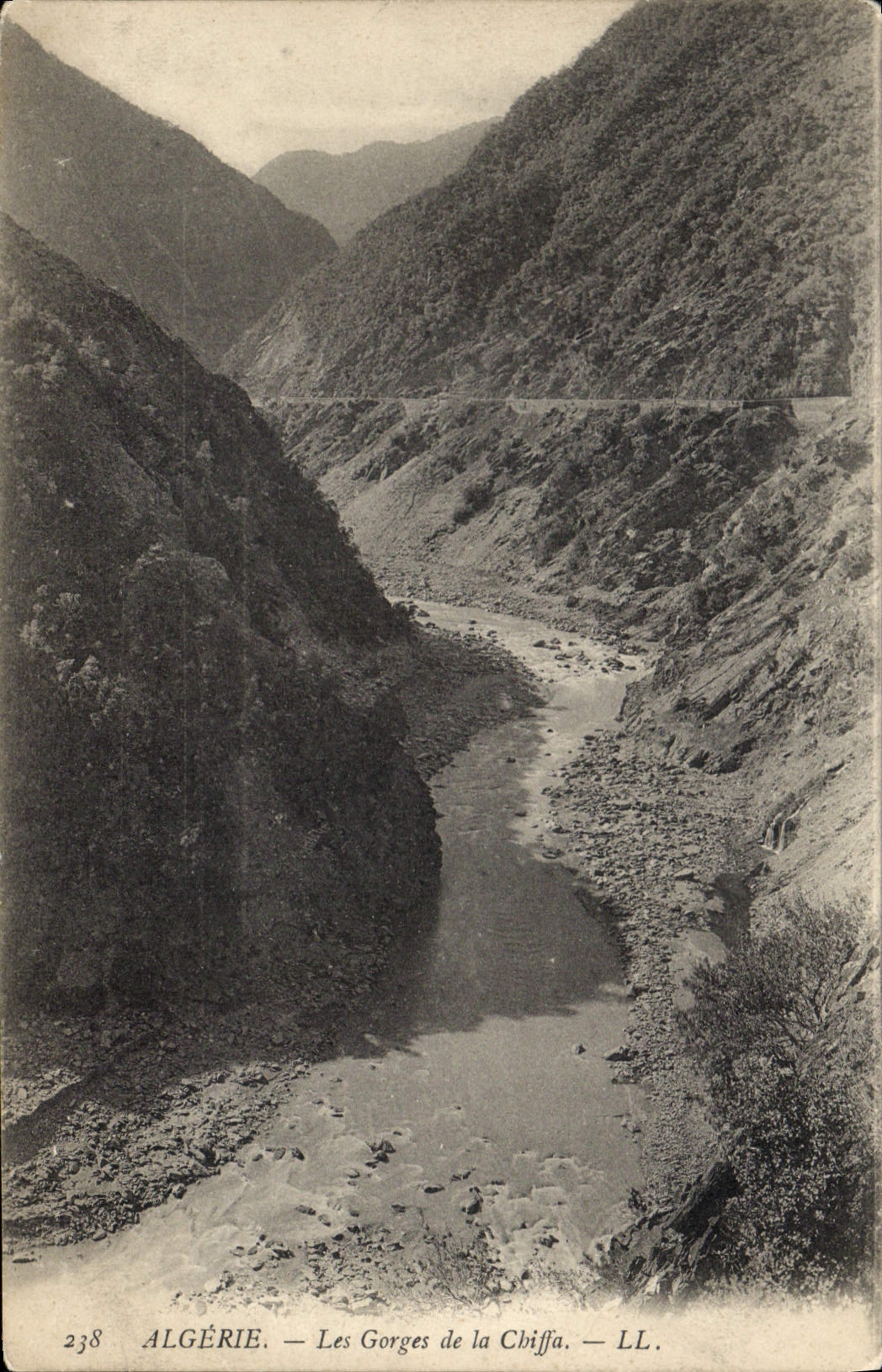 CPA Algerie Les Gorges de la Chiffa 