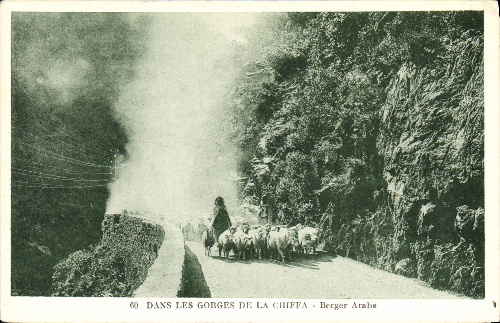 CPA Dans les Gorges de la Chiffa Berger Arabe Moutons