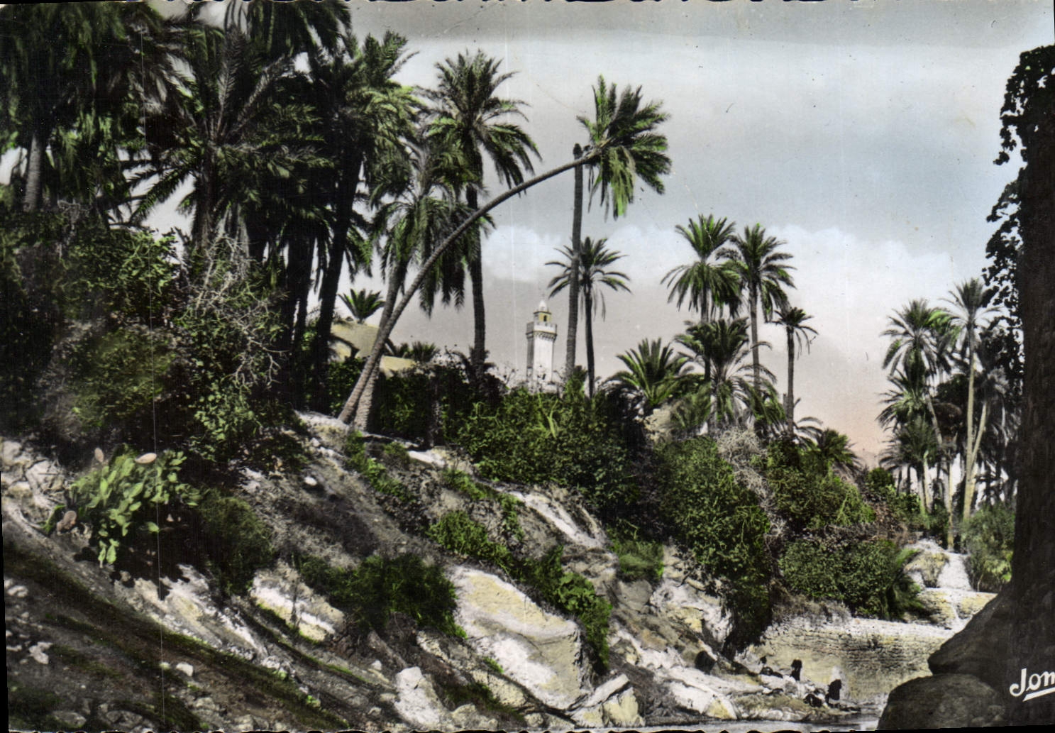 CPA Bou Saada Cite du Bonheur Les Jardins 