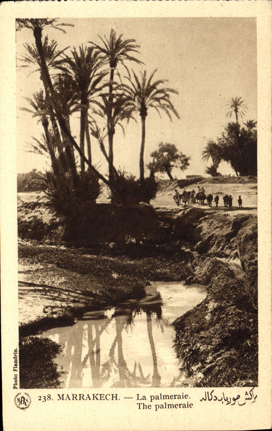 CPA Marrakech Le palmerale 
