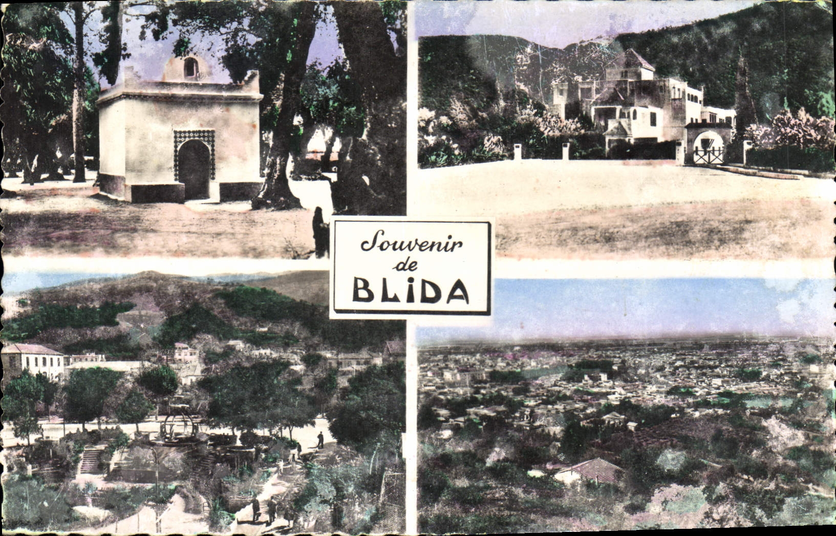 CPA Souvenir de Blida 