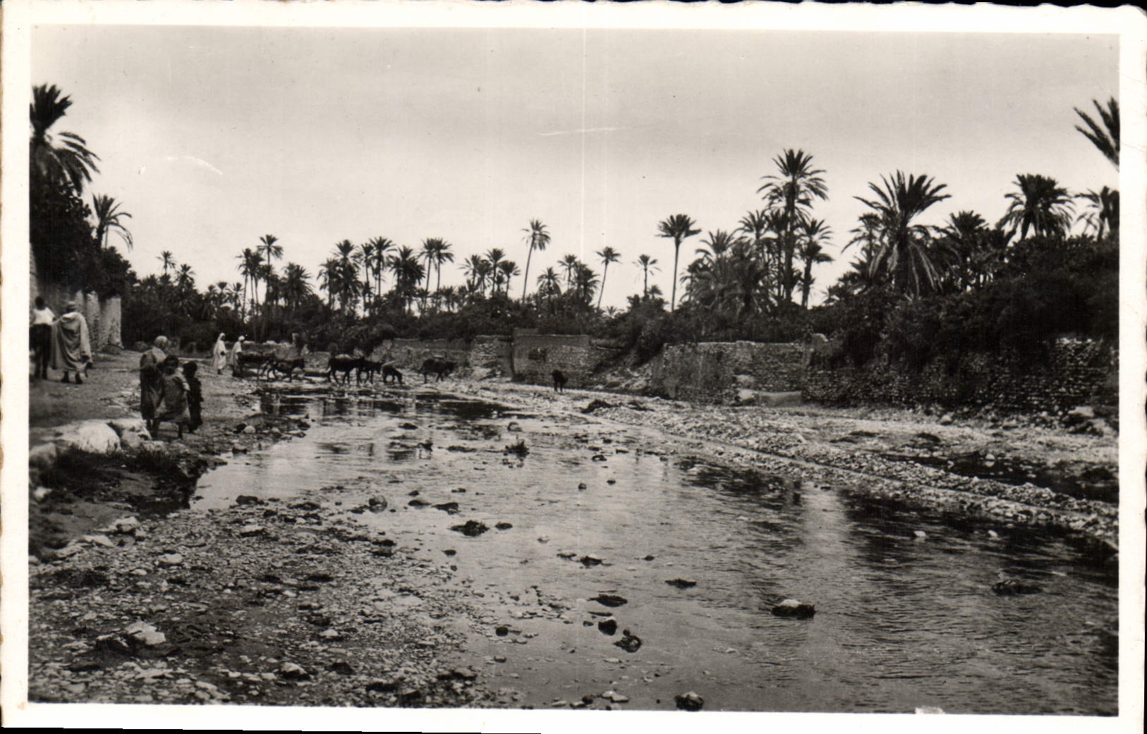 CPA Bou Saada Algerie Cite du Bonheur L'Oued