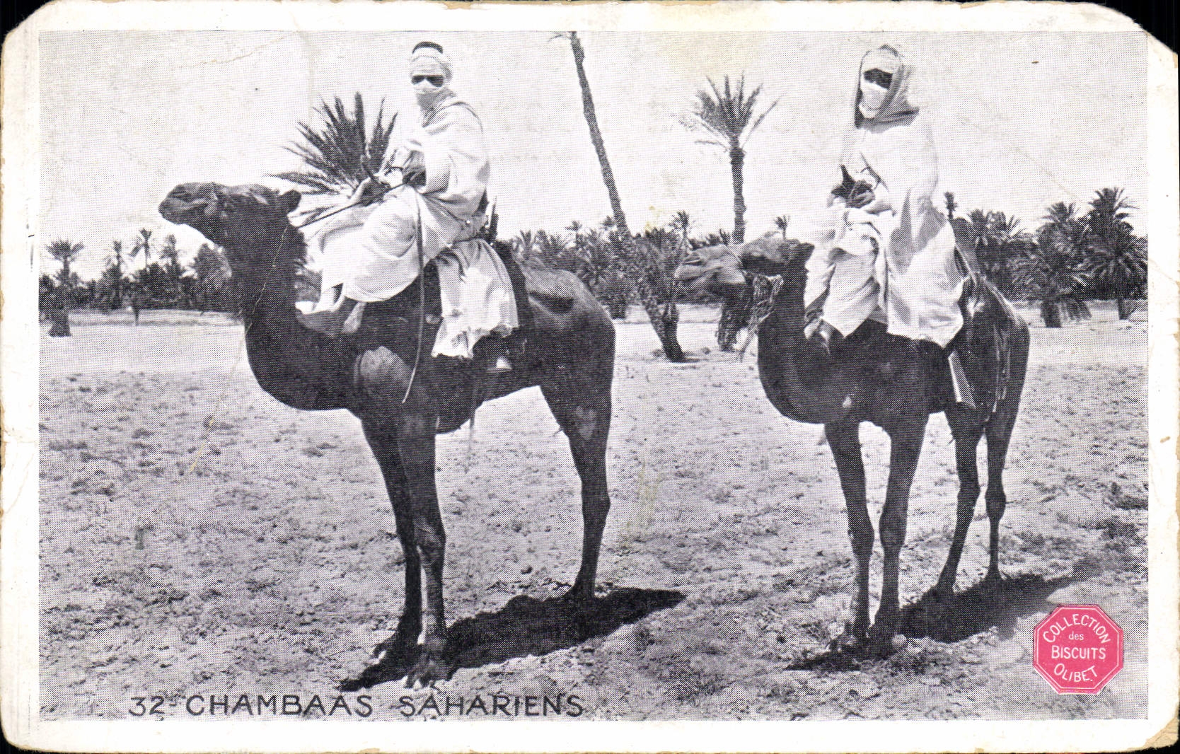 CPA Chambaas Sahariens 