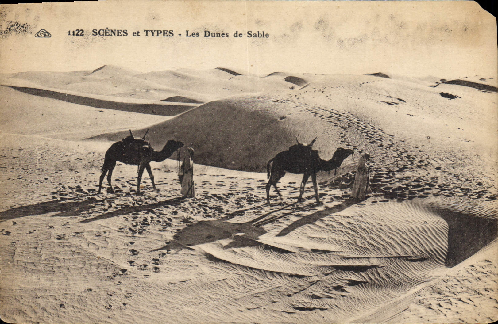 CPA Scenes et Types Les Dunes de Sable Chameaux