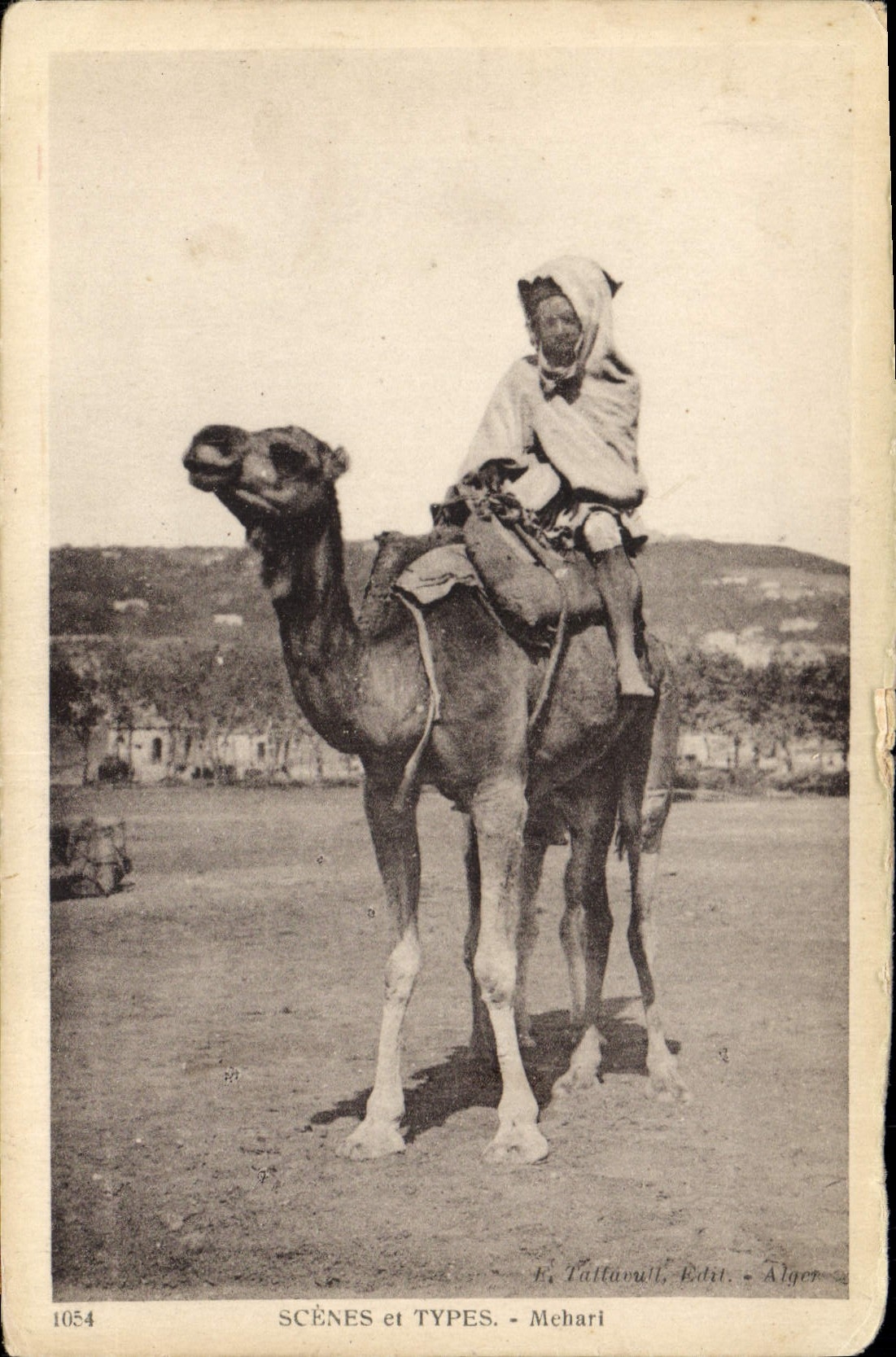 CPA Scenes et Types Mehari