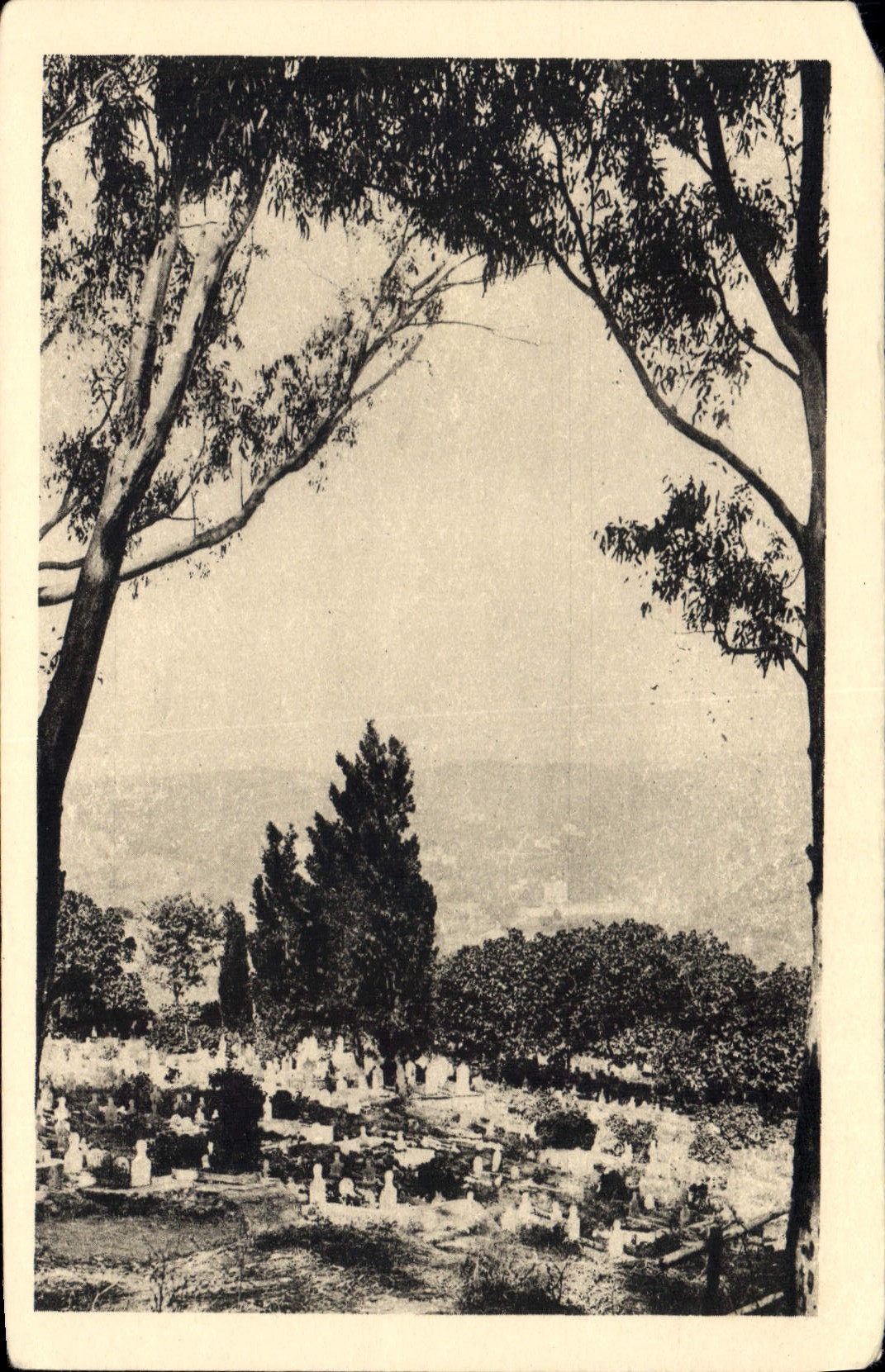 CPA Alger Cimetiere indigene d'El Ketter 