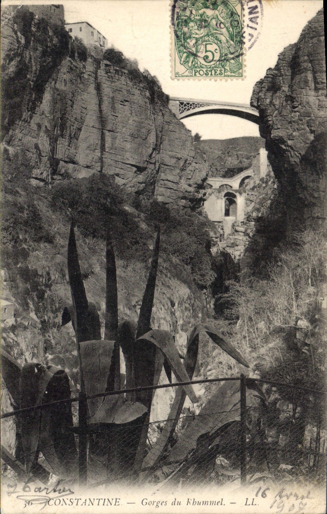 CPA Constantine Gorges du Rhummel 