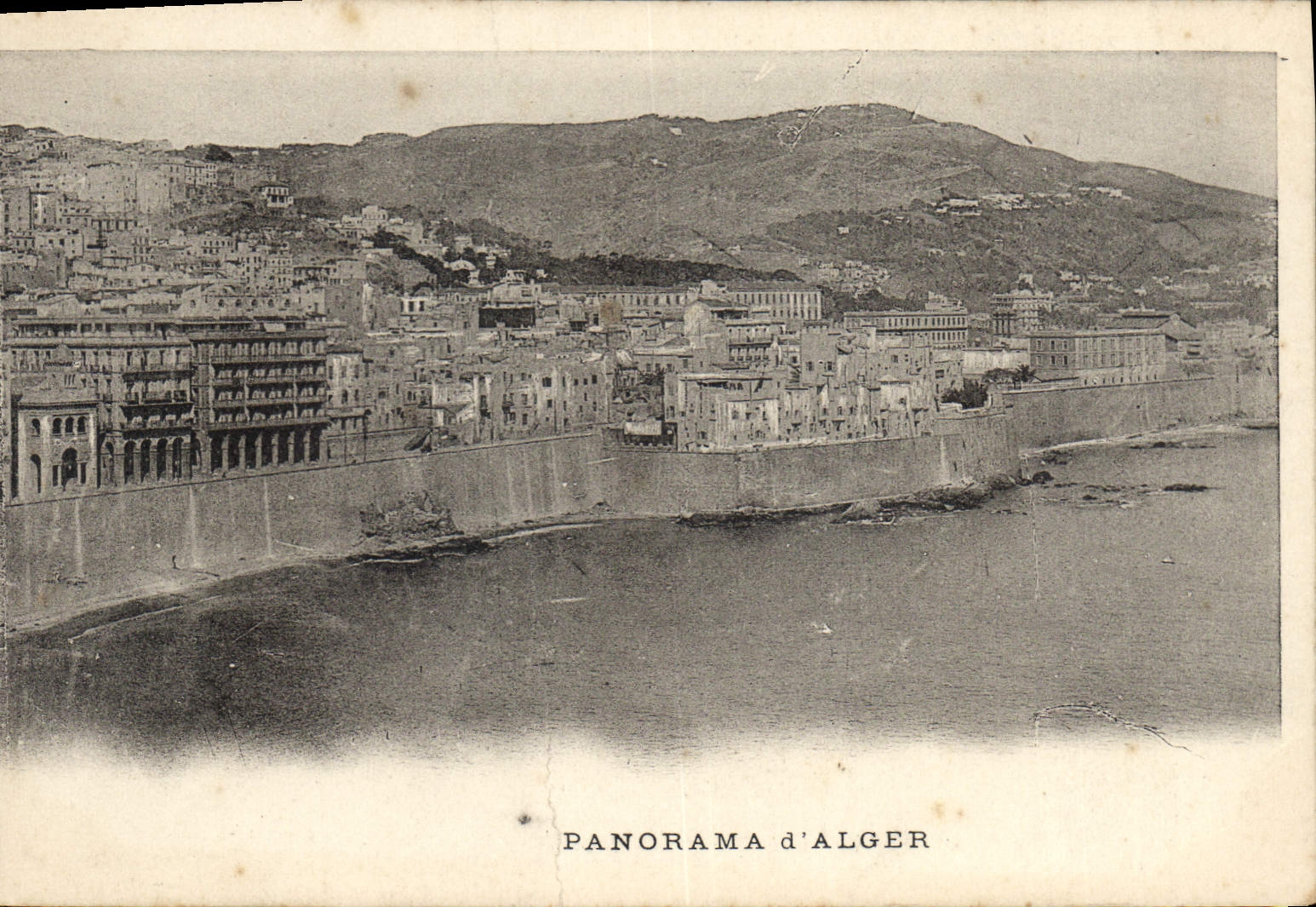 CPA Panorama d'Alger 
