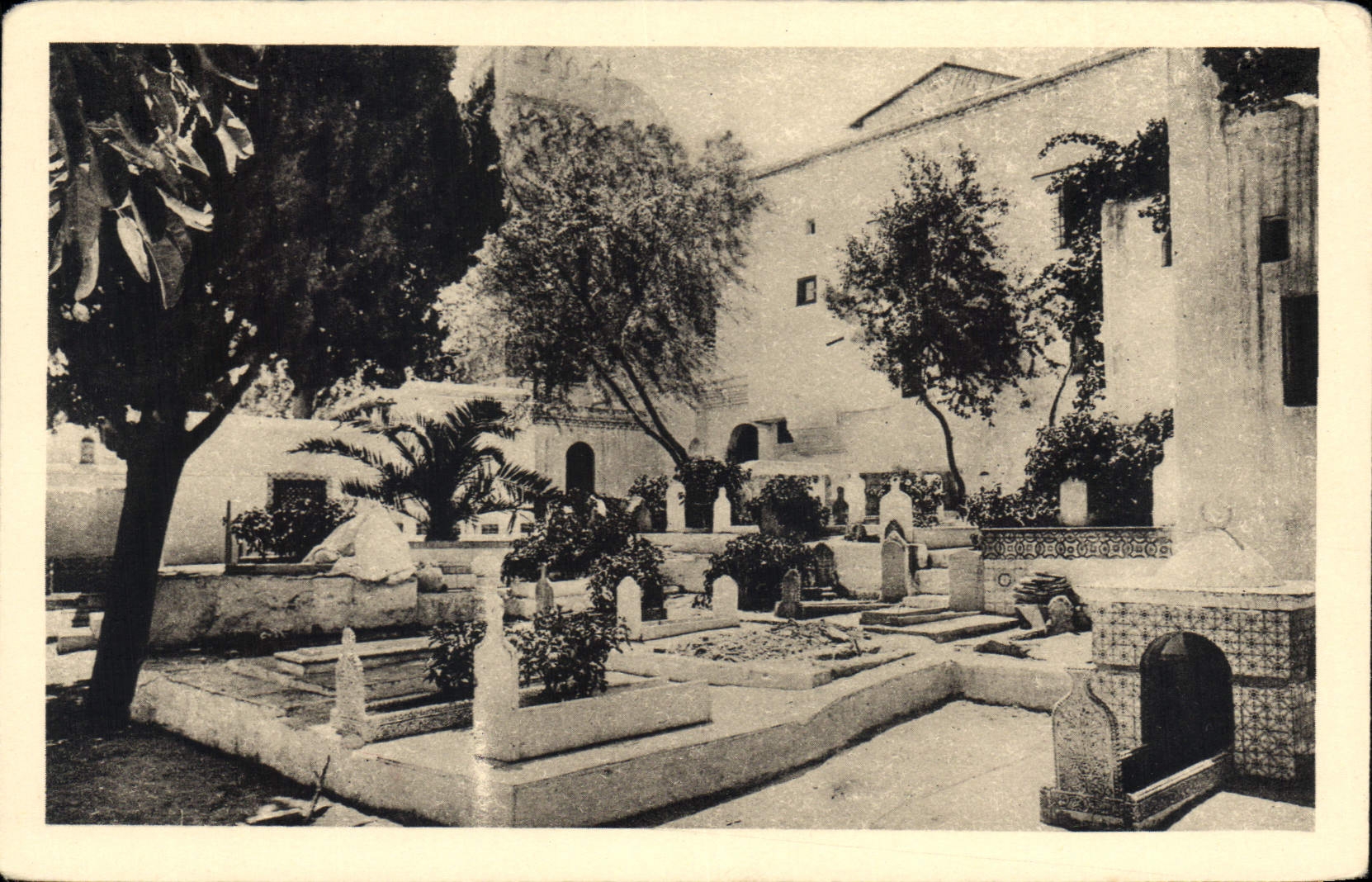 CPA Alger Cimetiere de la Mosquee de Sidi Abderrahmane