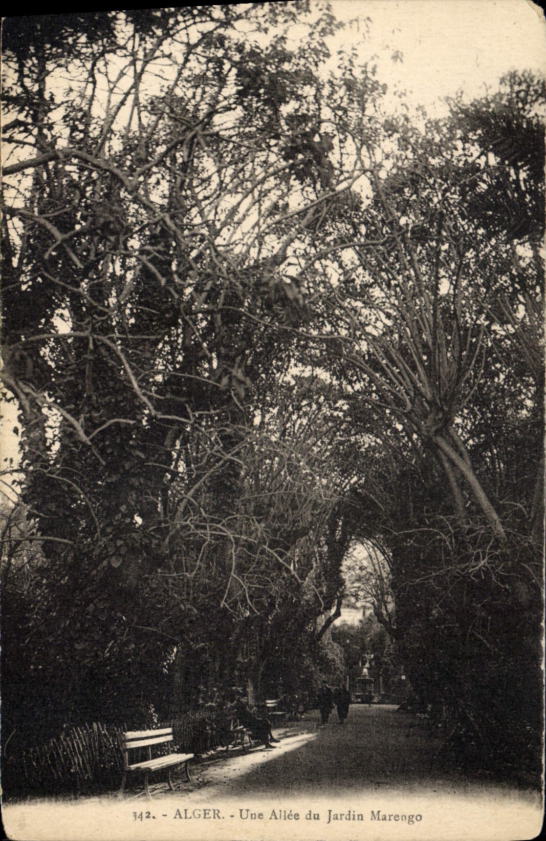 CPA Alger Une Allee du Jardin Marengo