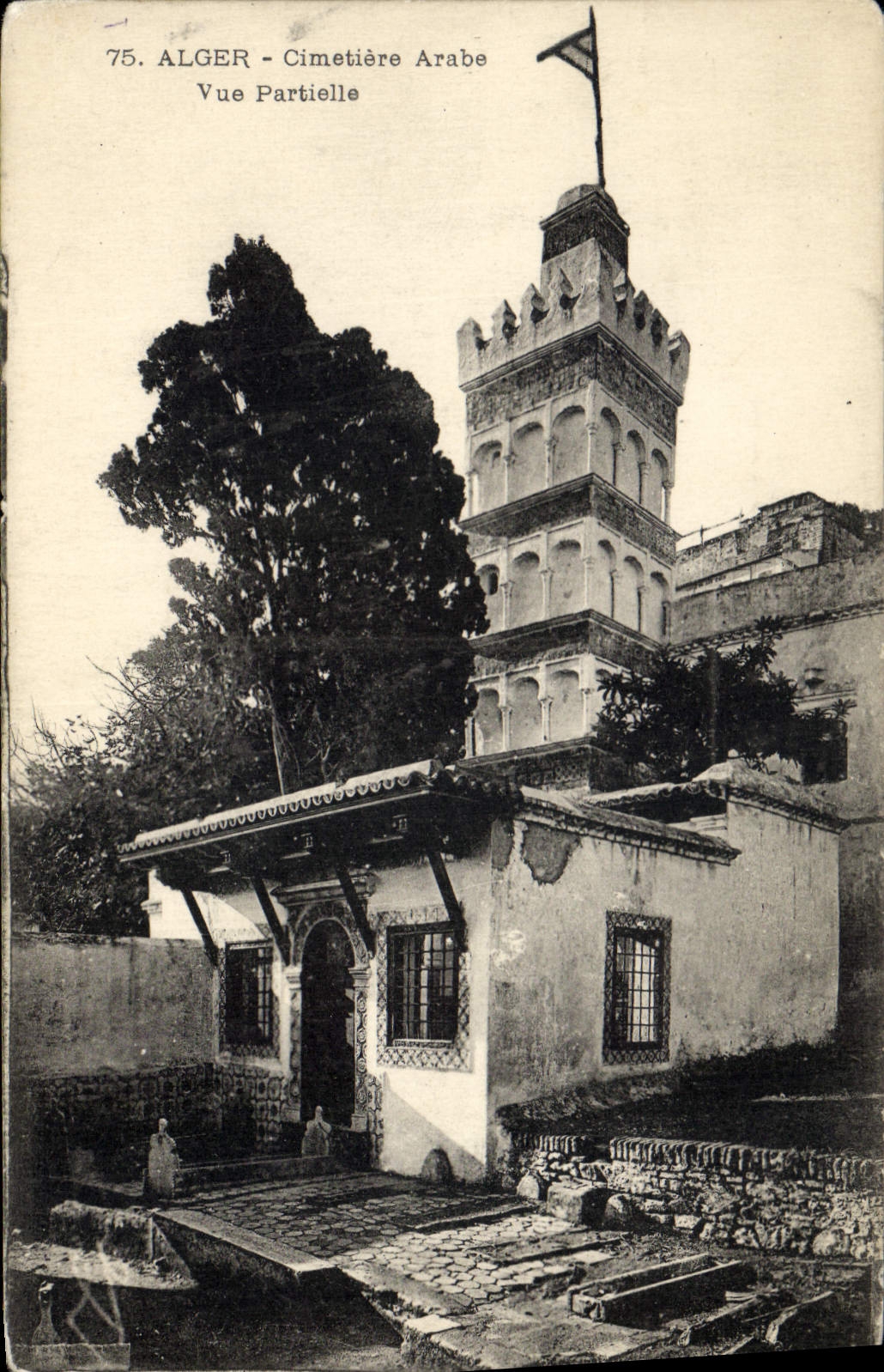CPA Alger Cimetiere Arabe Vue Partielle