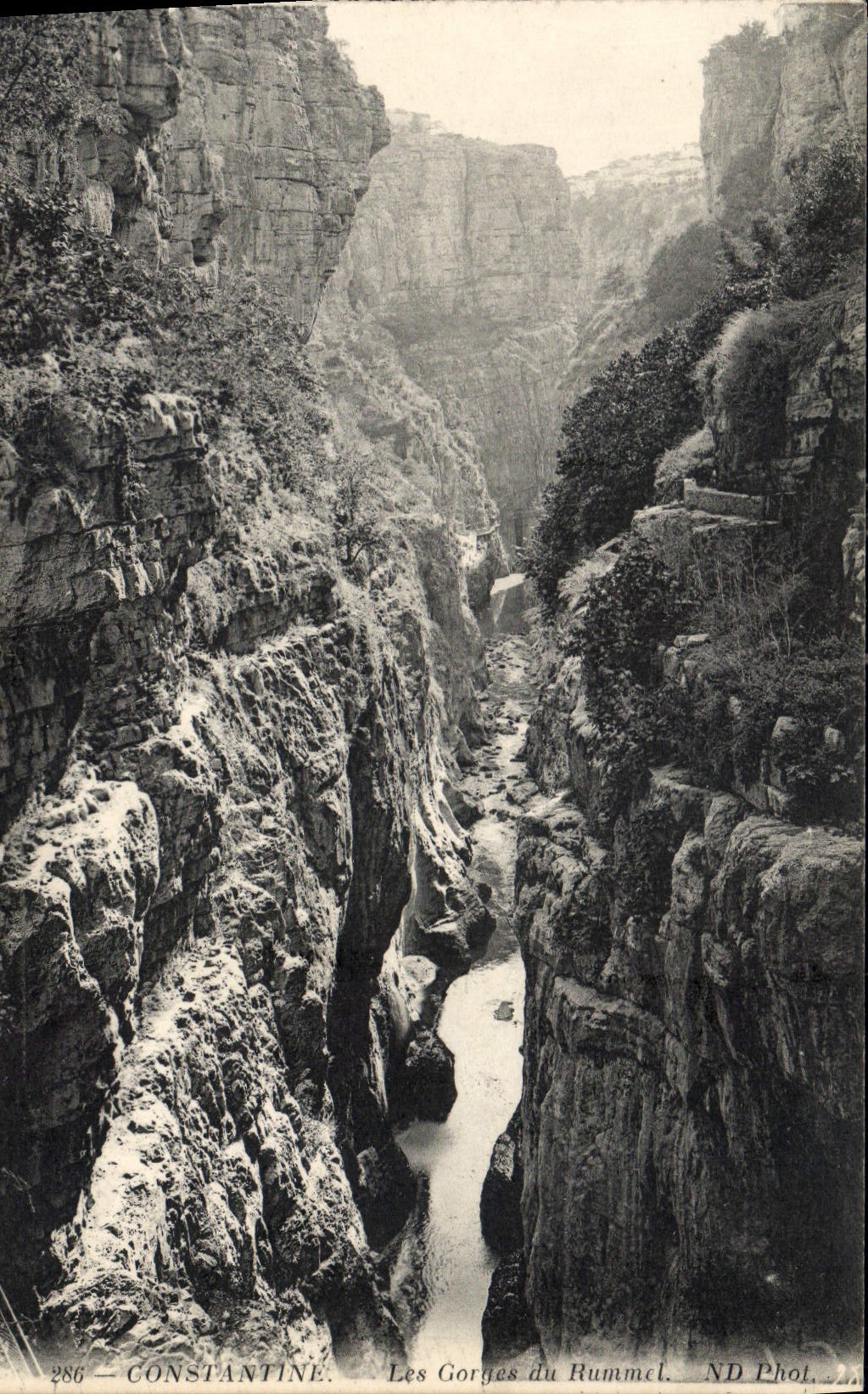 CPA Constantine Les Gorges du Rummel 