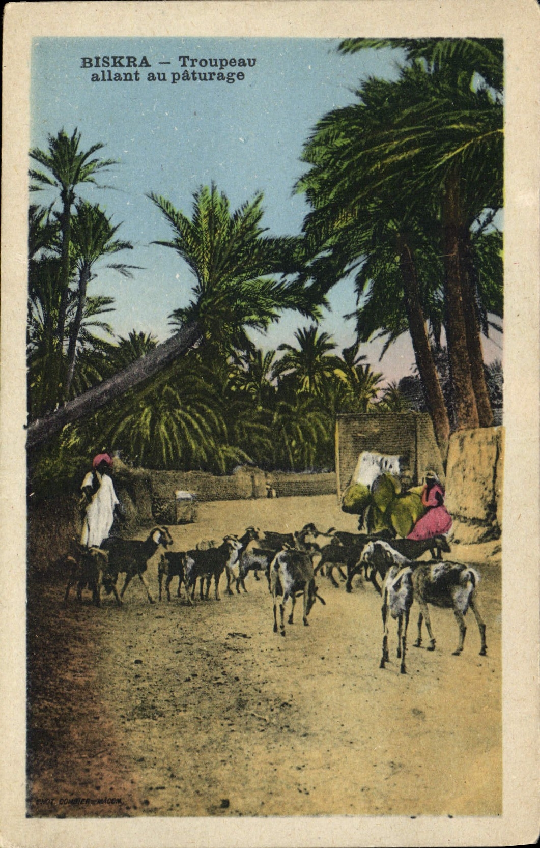 CPA Biskra Tropeau allant au paturage Chevres
