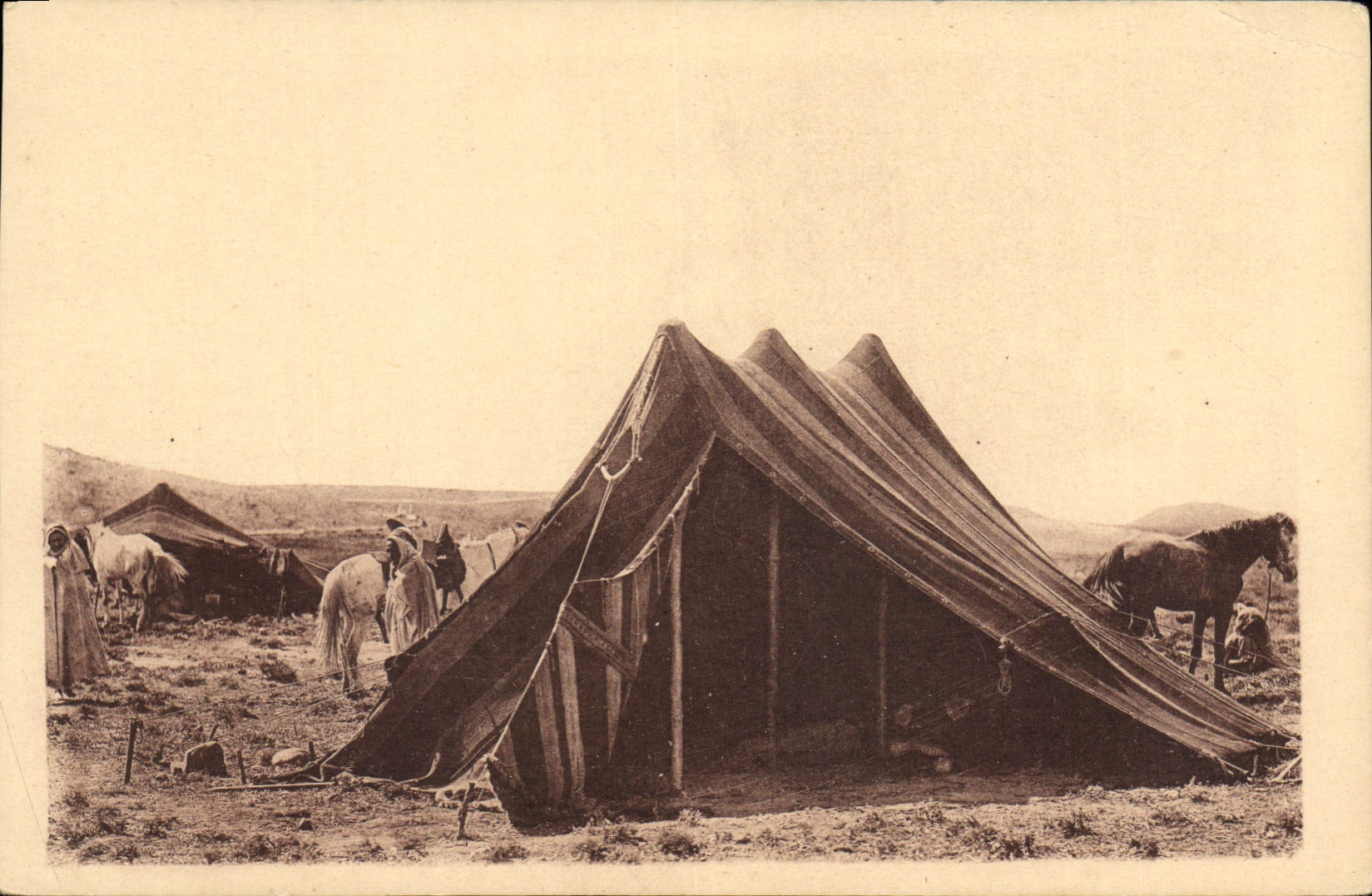CPA Bou Saada Un campement dans le Hodna 