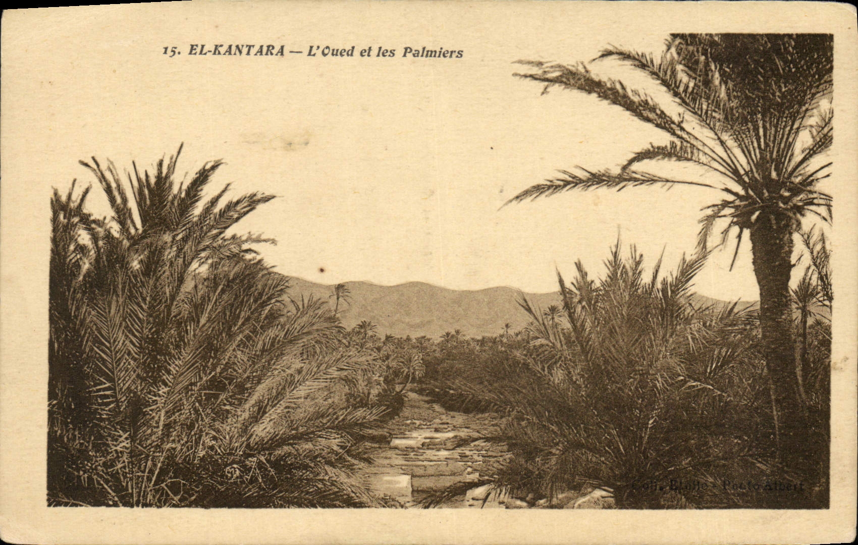 CPA El Kantara L'Oued et les Palmiers 