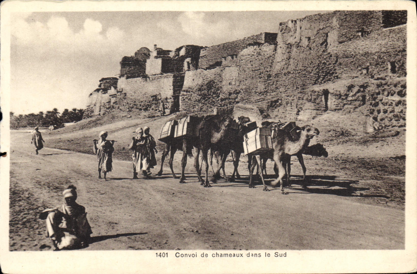 CPA Convoi de chameaux dans le Sud 