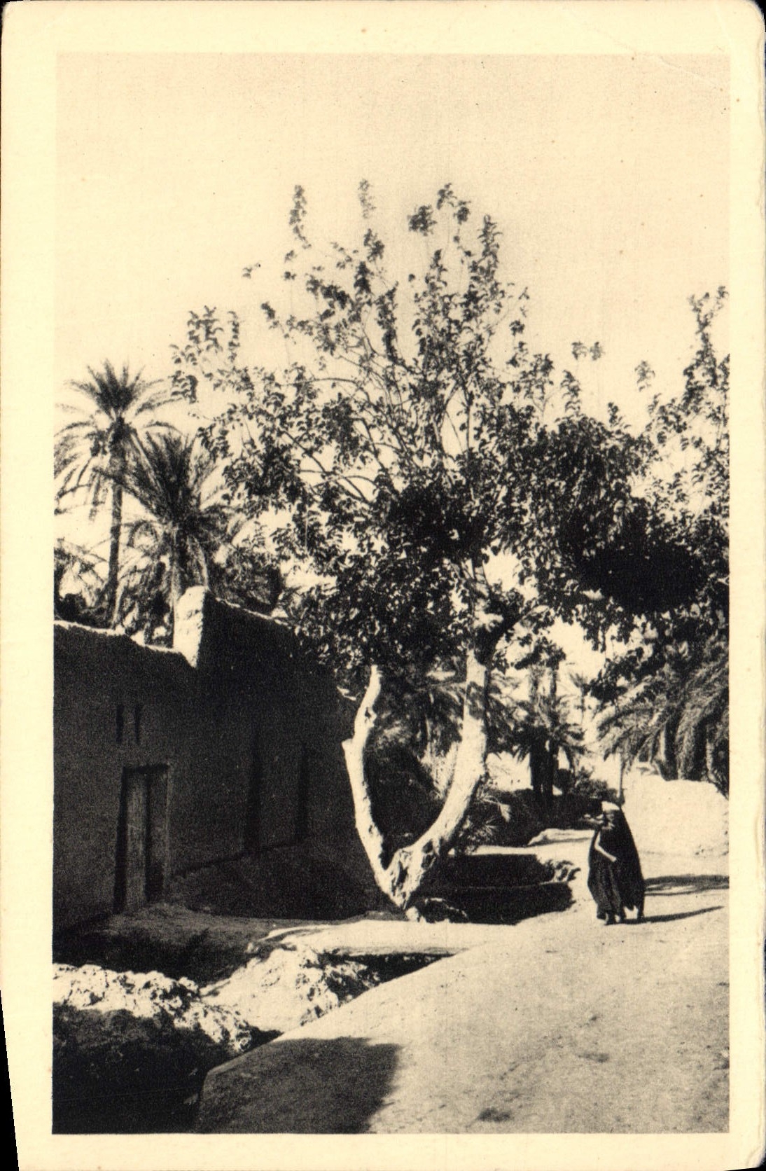 CPA Dans le Vieux Biskra 