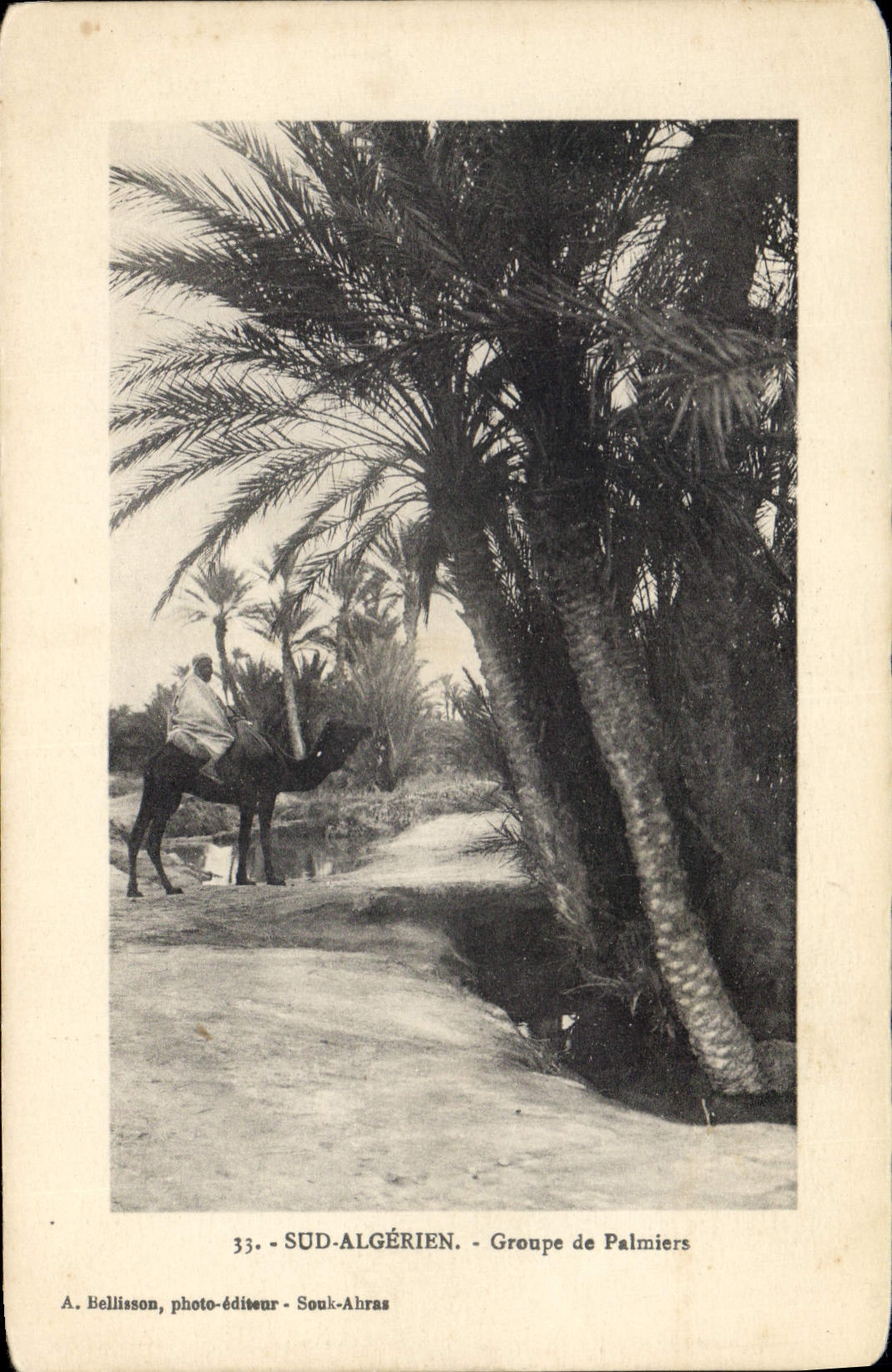 CPA Sud Algerien Groupe de Palmiers 