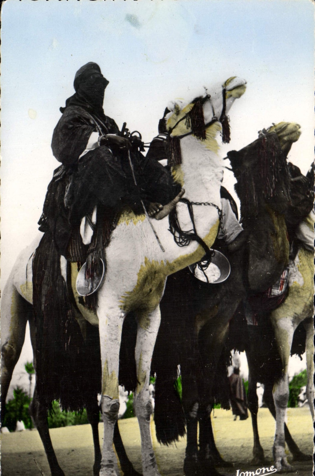 CPA Scenes et Types Meharistes a Tamanrasset 