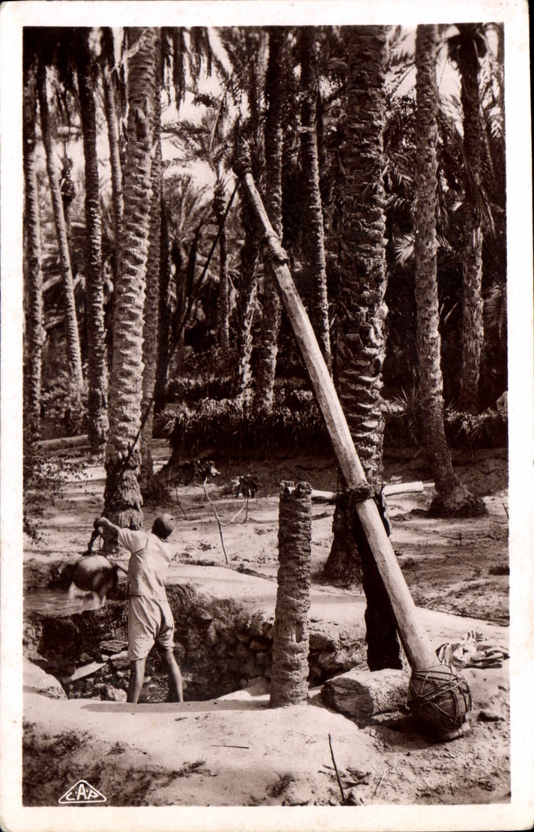 CPA Scenes et Types Un puits dans l'Oasis