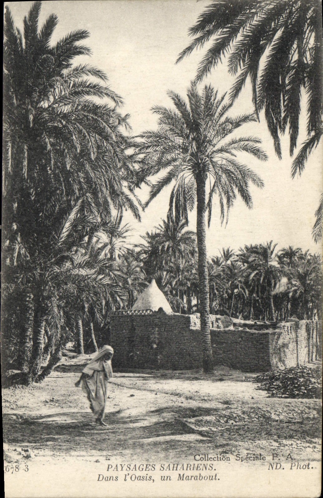 CPA Paysages Sahariens Dans l'Oasis un Marabout 