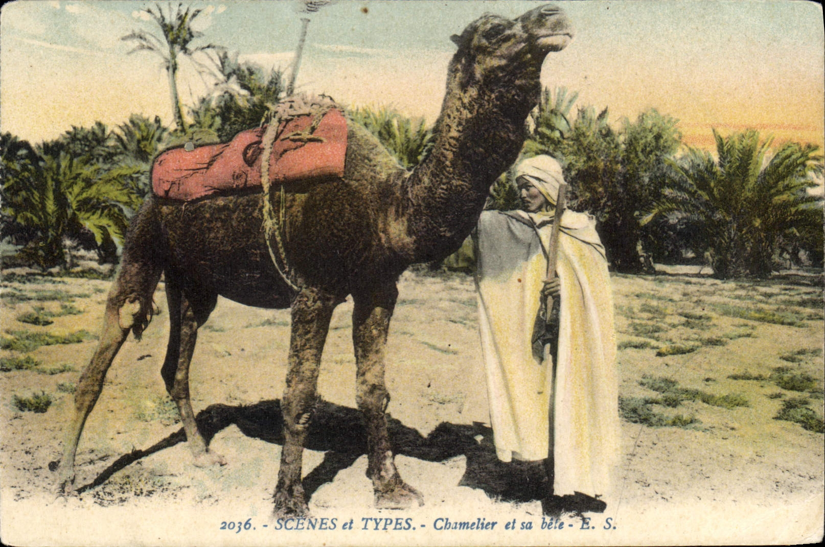 CPA Scenes et Types Chamelier et sa bete