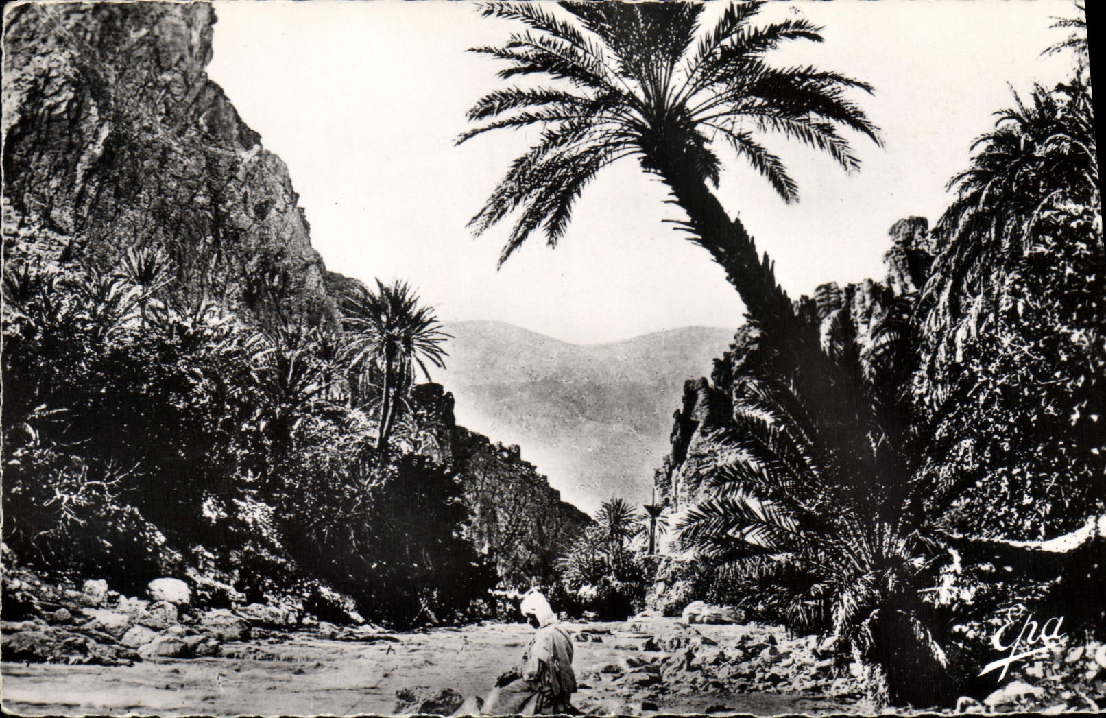 CPA Biskra Gorges et Oued 